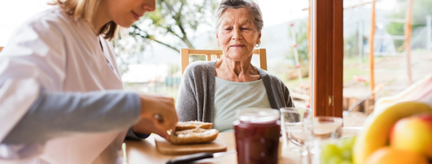 Elderly Care Services